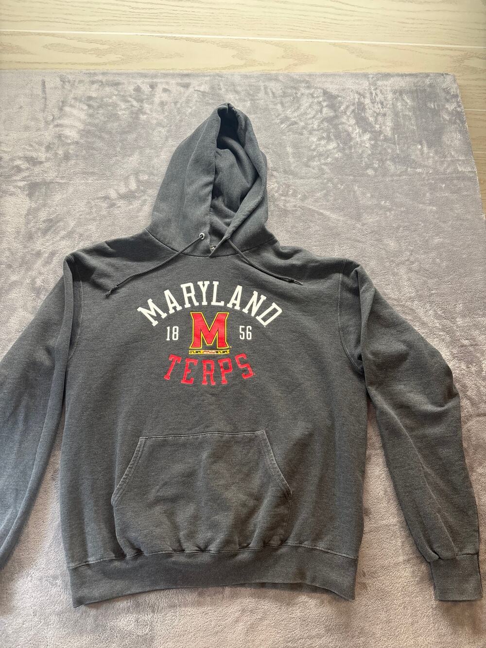 Champion Maryland Terrapins Hoodie Men’s L Gray Pullover College Sweatshirt